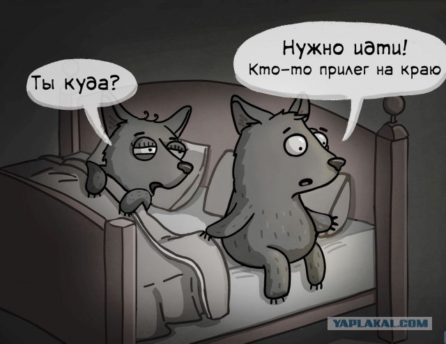 Что может дать 40-50 летняя старушка парню ровеснику