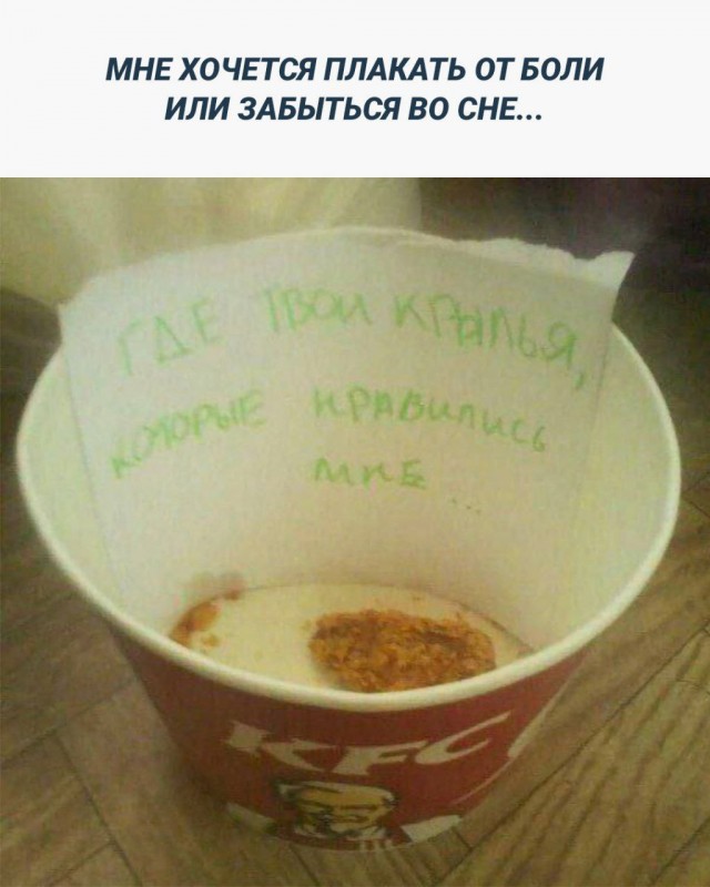 Весёлый полтишок 21.08.23