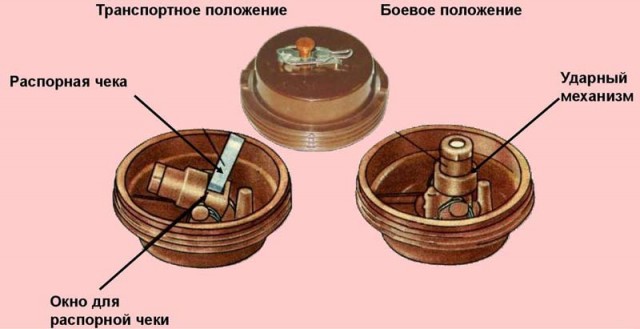 Нашел в лесу, кто знает, что это? Что делать и кого вызывать?