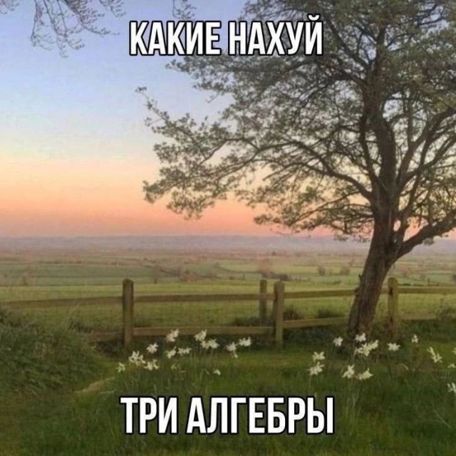 Всего понемногу. От 08.12.23
