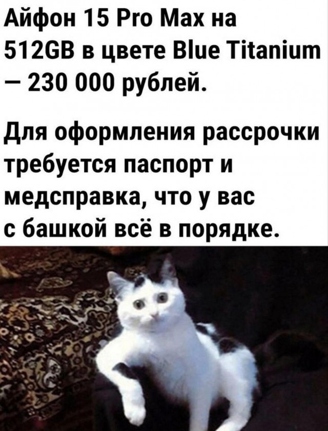 Прикольные и просто красивые картинки 12.01.2024