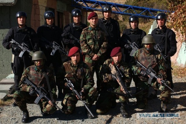 Только крокодилы спасут эту страну от мудаков!