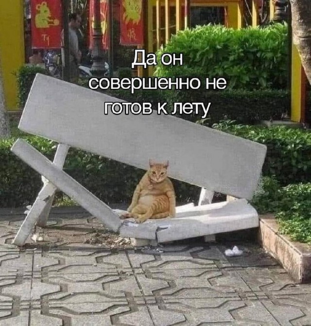 Отряд быстрой деградации