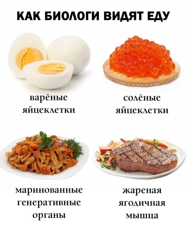 Завалялось тут случайно немного забавных картинок