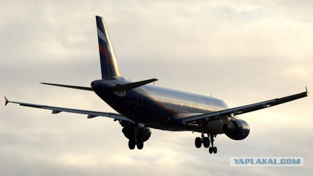 Россия попросила Казахстан организовать внутрироссийские авиарейсы из-за нехватки самолетов.