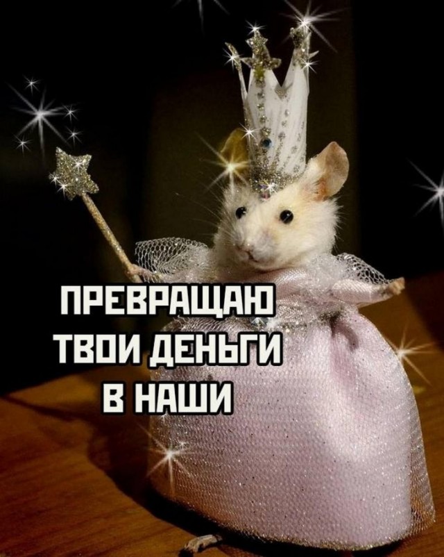 Всего понемногу. От 20.01.2025