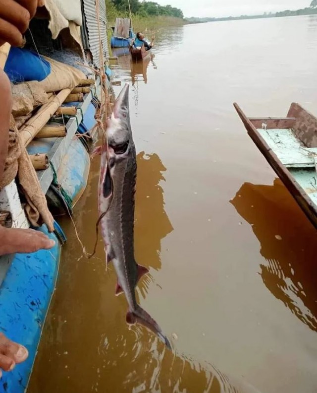 Бутан, таинственный Бутан