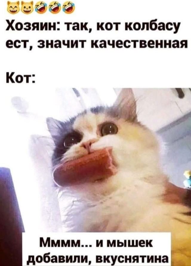 Так себе картинки 27.02.25