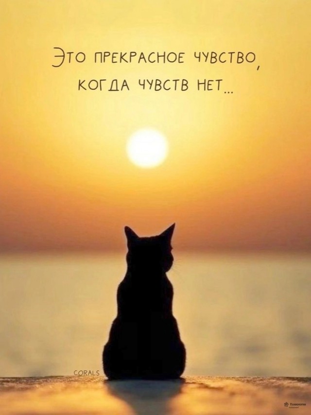 Так себе картинки 22.03.25