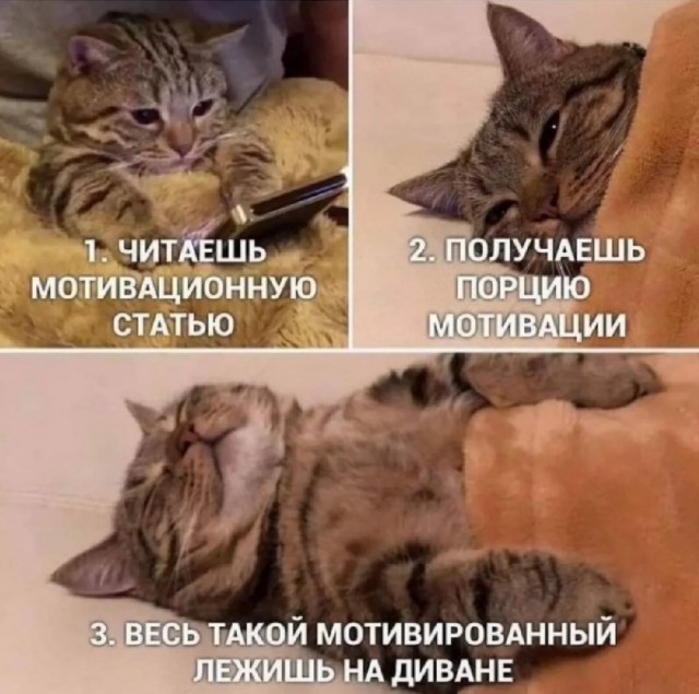 Смешные картинки с надписями на пятницу
