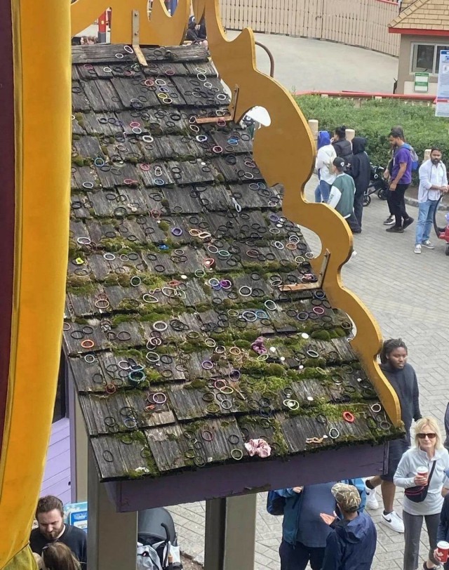 Прикольные и просто красивые картинки 16.05.2025