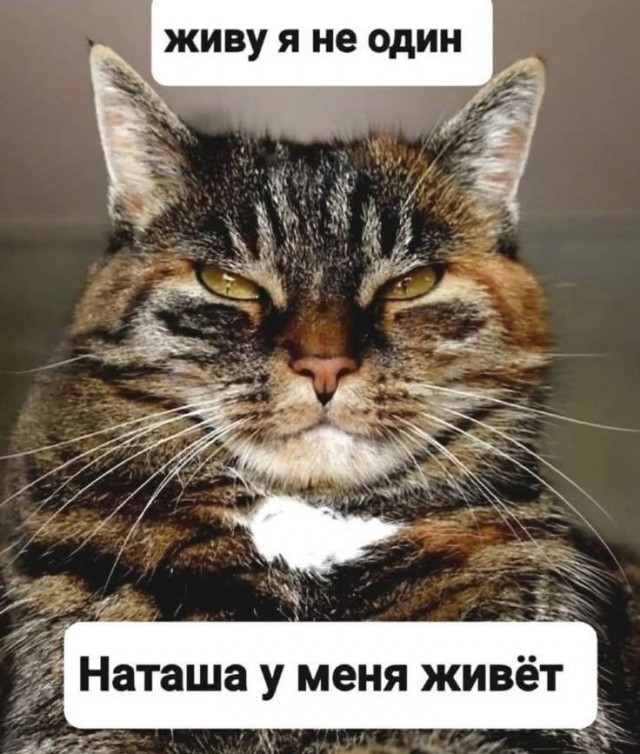 Так себе картинки 22.05.25