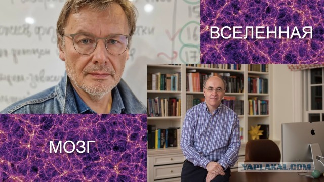 К.В. Анохин и С. Вольфрам: что общего между российским нейробиологом и британским физиком-математиком?