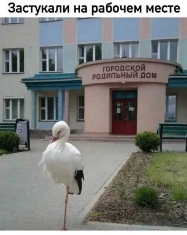 Так себе картинки 10.07.25