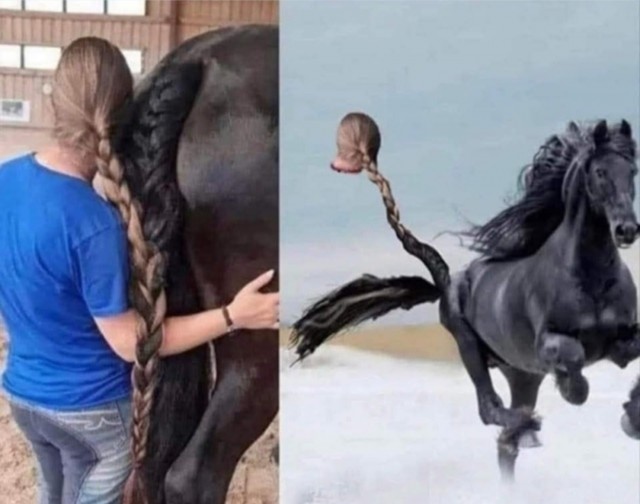 Веселое настроение в картинках (13.08.2025)