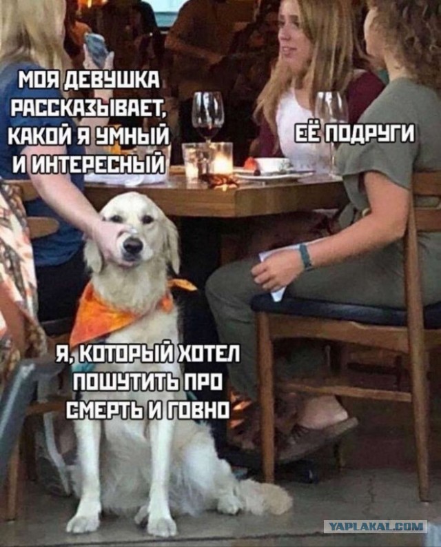 Веселые картинки в пятницу (15.08)
