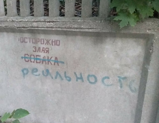 Картинки для деградации 34 (разной степени свежести)