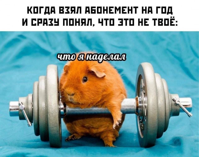 Четверговые картинки