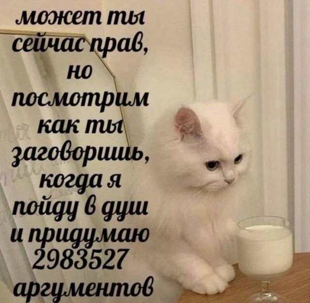 Веселое настроение в картинках (24.10.2025)