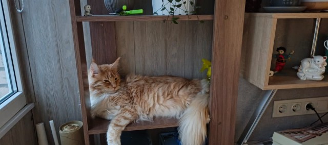 Четкий план нападения