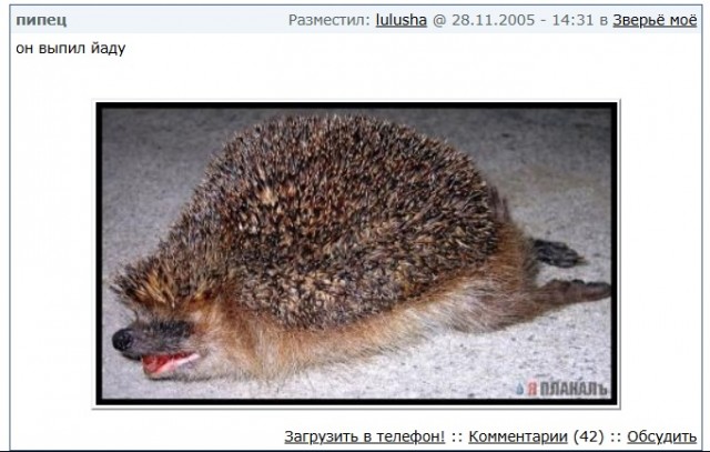 ЯП двадцатилетней выдержки