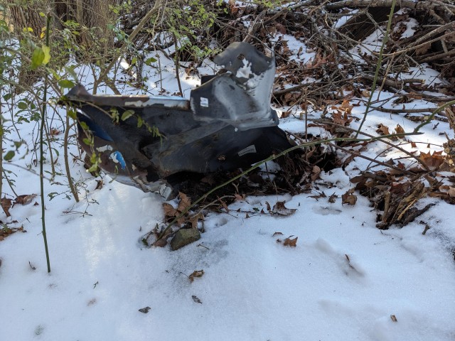 Добрые христиане из Северной Каролины нашли в лесу маленького замёрзшего котёнка