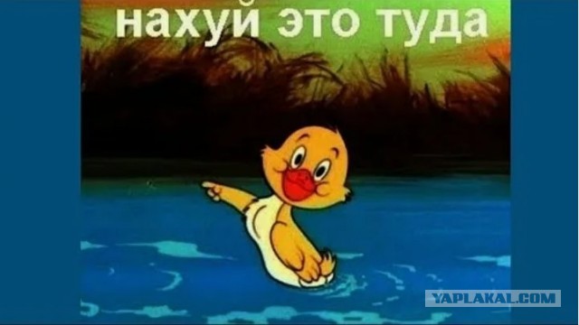 Да что тебе собака, ещё надо то?!