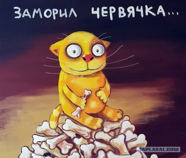 Мавр ждет завтрак