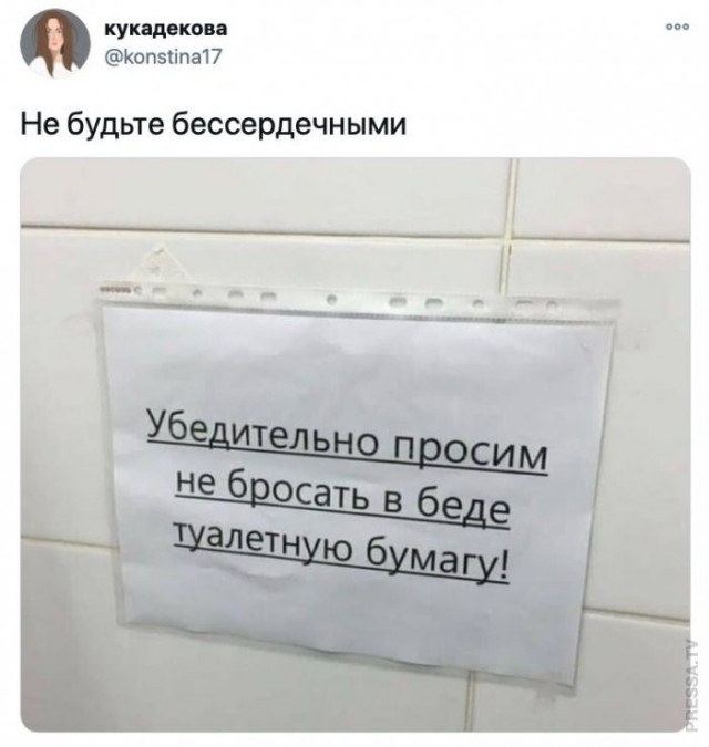 Веселые картинки в пятницу (17.04)