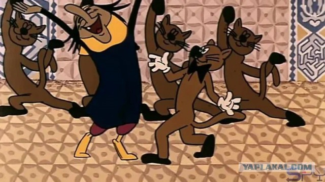Ну хотя бы у неё не 40, а всего 17 кошек