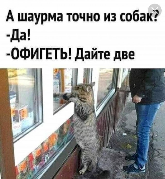 Попытка не травануться шаурмой