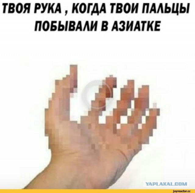 Синичковая кукушиниха против зловещей кокошан