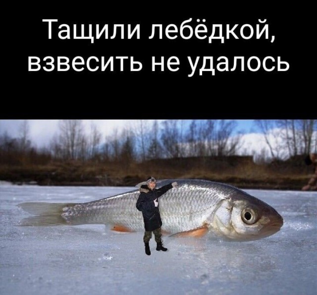 Пап, помоги рыбку вытащить