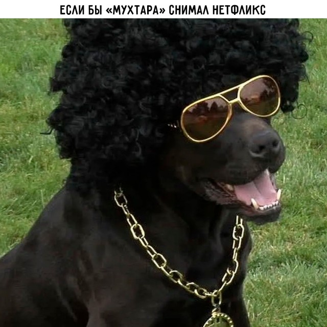 Картинки для деградации 211 (разной степени свежести)