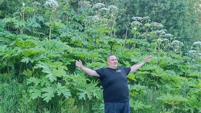 Учёные снова ошиблись. Кости «мамонта» из музея Аляски оказались остатками совсем другого существа