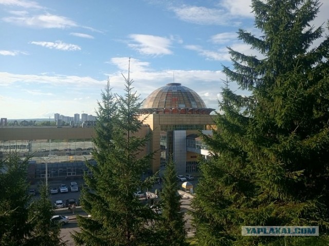 Пять суток в плацкарте