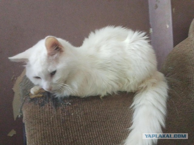Скоро зима, парни