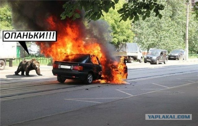 Самый правильный ракурс