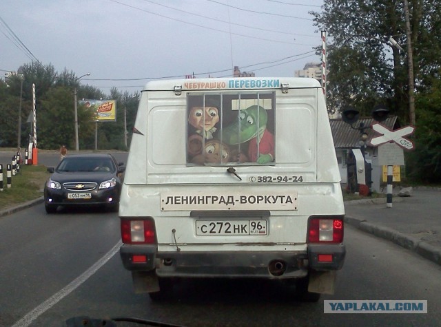 Странные и смешные машины моего города