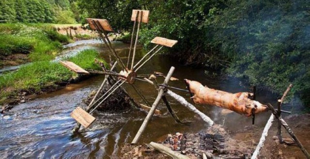 Подборка забавных и курьезных фотографий