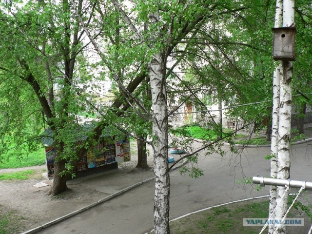 Вид из вашего окна