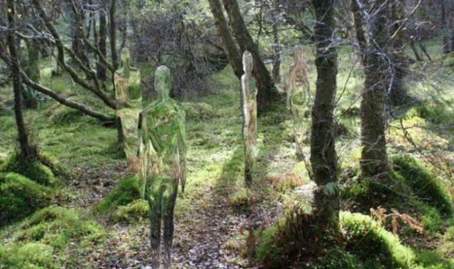 Невидимые скульптуры в шотландском лесу