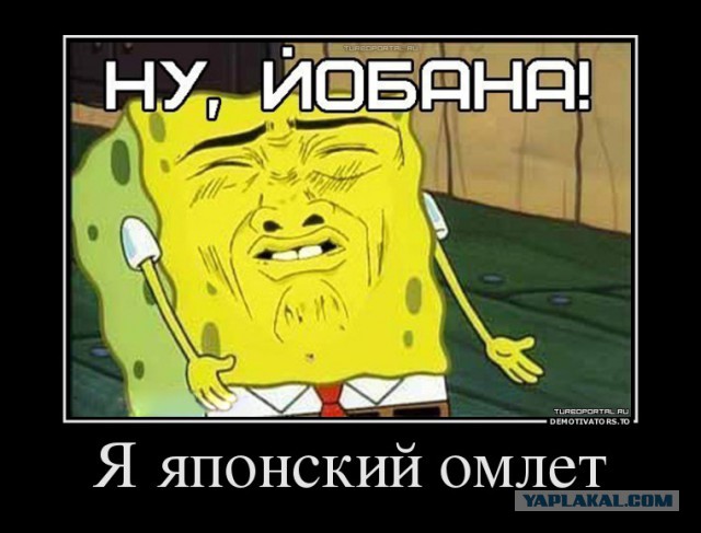 Омлет по-японски