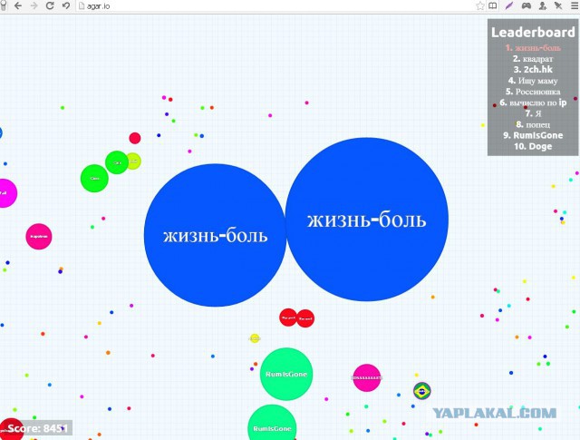 Симулятор жизни: agar.io