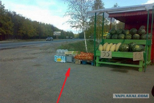 Обочечники в США