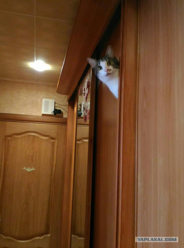 А что пылится без дела у вас дома?