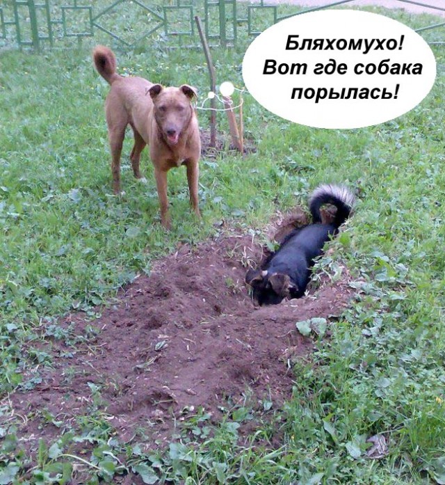 Фотожаба: да здесь где-то недалеко!