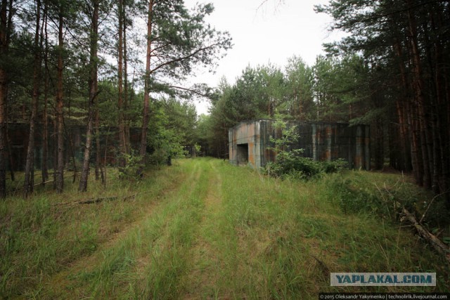 В поисках бункера Хоннекера