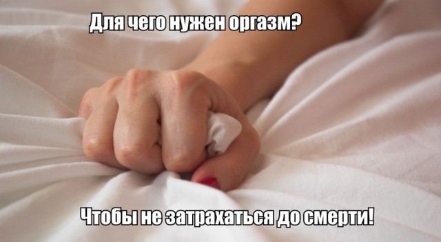 Картинки и приколы из сети