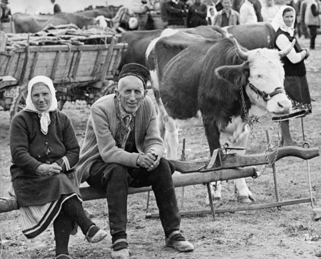 Известный советский фотограф Дмитрий Бальтерманц